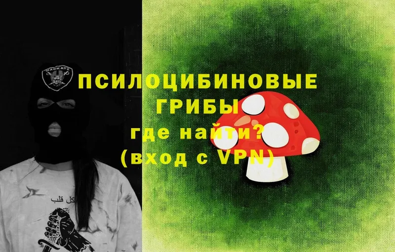 Псилоцибиновые грибы Psilocybe  Красновишерск 